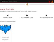 Webseiten Screenshot von Feuerschmiede