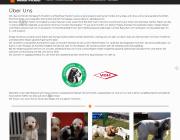 Webseiten Screenshot von Mixed Pickles