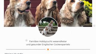 Webseiten Screenshot von Mixed Pickles
