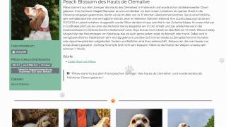 Webseiten Screenshot von Mixed Pickles