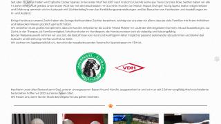 Webseiten Screenshot von Mixed Pickles
